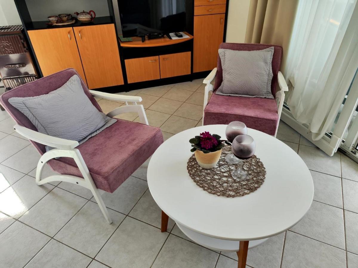 נובי ווינודולסקי Apartments Snjezana מראה חיצוני תמונה