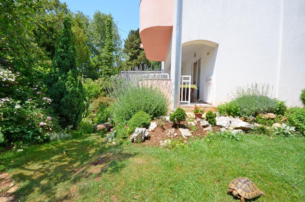 נובי ווינודולסקי Apartments Snjezana מראה חיצוני תמונה